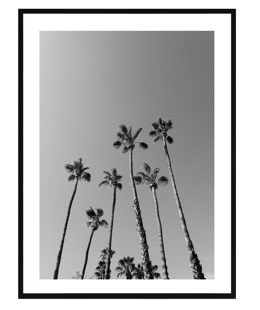 Beneath the palms - DG Designs